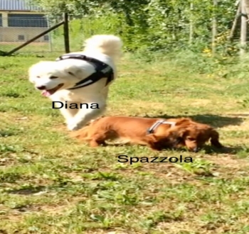 Gallery image thumbnail